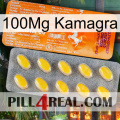 100Mg Kamagra new05